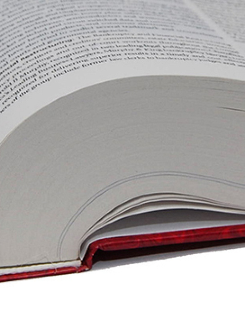 Корпоративные идиомы: как в них не запутаться