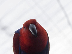 Приготовьте аргументы: что нужно сделать, чтобы зритель вам поверил