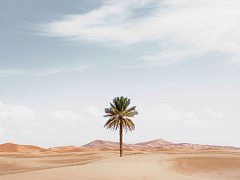 Вы хотите выжить или добиться успеха?