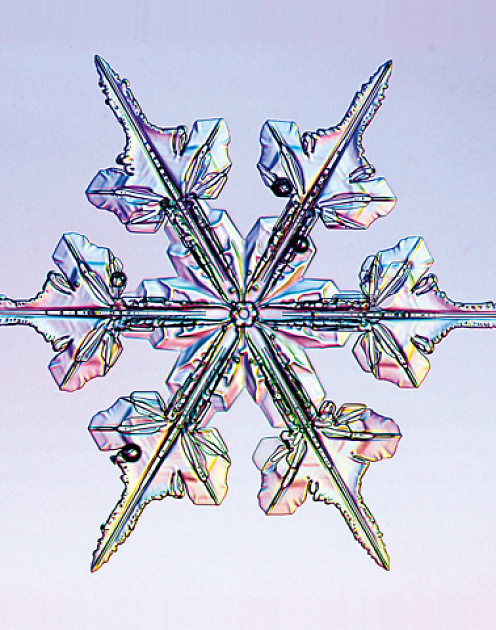 Ищите аномалии