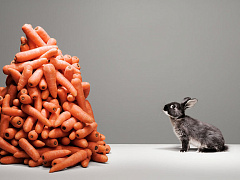 Почему люди боятся легких задач