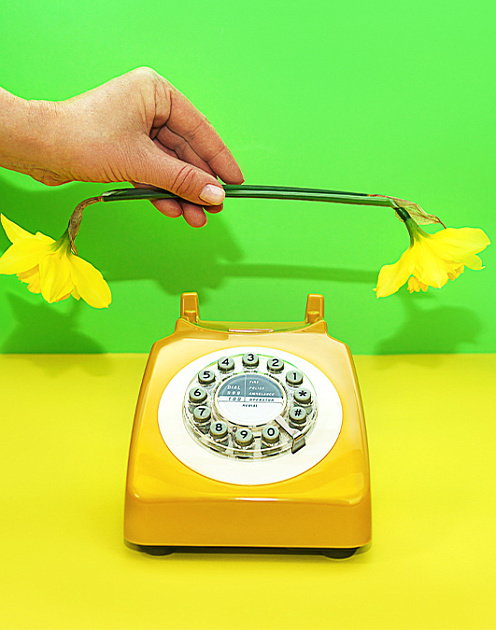 Почему вежливость на совещаниях опасна для вашего бизнеса