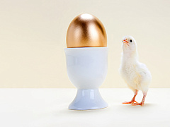 Что нужно сотрудникам, чтобы они показывали лучшие результаты