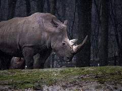 Что поможет справиться с депрессией в офисе