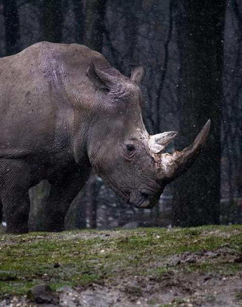 Что поможет справиться с депрессией в офисе