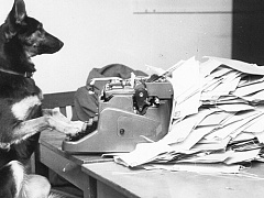 5 способов оценки кандидата на должность: как не упустить лучшего