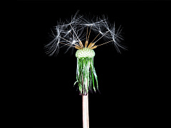 Девять советов, которые помогут разговаривать с сотрудниками во время кризиса