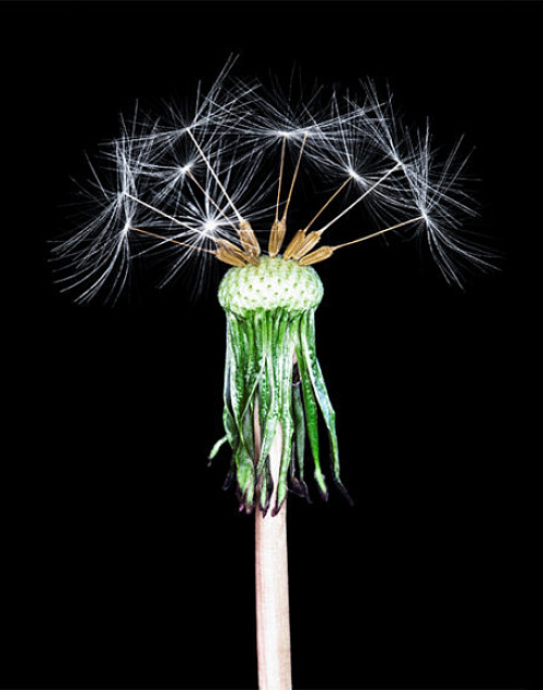 Девять советов, которые помогут разговаривать с сотрудниками во время кризиса