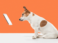 О чем говорить с клиентами в соцсетях