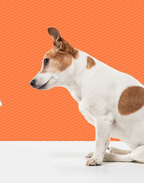 О чем говорить с клиентами в соцсетях