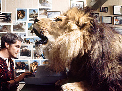 Как перехитрить свой гнев, задав себе четыре вопроса