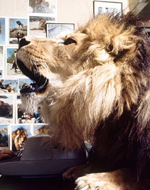 Как перехитрить свой гнев, задав себе четыре вопроса