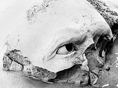 В эпоху роботов нужно уметь быть человеком