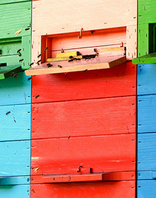 Шесть способов привлечь суперзвезду