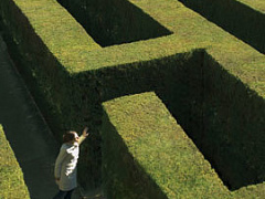 Женщины в лабиринте власти