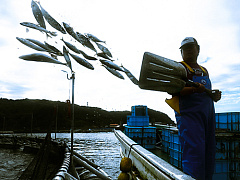 Руководство «по увольнению» клиента