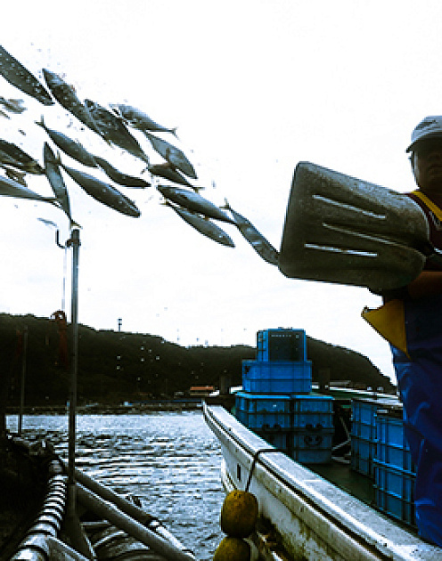 Руководство «по увольнению» клиента