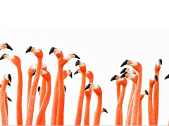 Как выстроить эффективную обратную связь