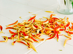 Четыре способа неправильно извиниться и сделать только хуже