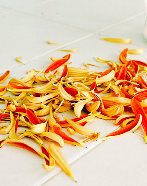 Четыре способа неправильно извиниться и сделать только хуже