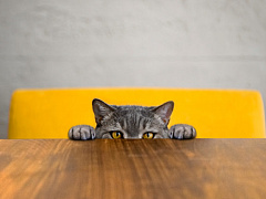 Навязчивая история: как перестать зацикливаться на своих ошибках