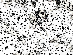 Преодолеть биполярное мышление