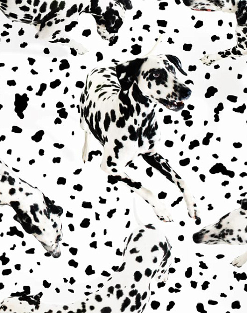 Преодолеть биполярное мышление