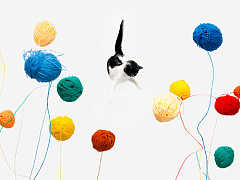 Cтремление довести дело до конца может навредить вашей эффективности