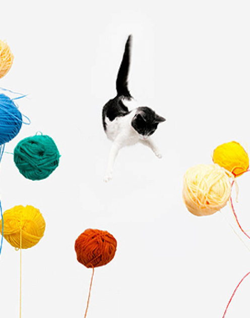 Cтремление довести дело до конца может навредить вашей эффективности