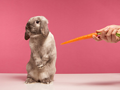 Что делать, если сотрудники вас боятся