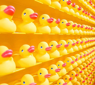 Семь бед для нового CEO