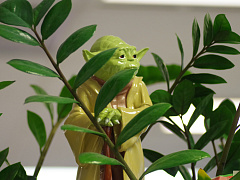 Учение — свет, когда учатся все