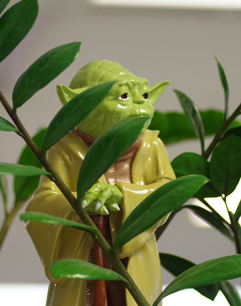 Учение — свет, когда учатся все