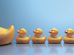 Шесть шагов к искоренению коррупции