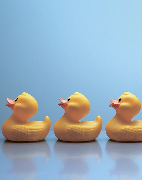 Шесть шагов к искоренению коррупции