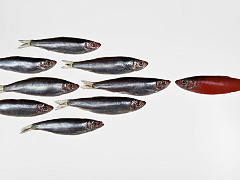 Как отличить безнадежного хама от человека, которому можно помочь