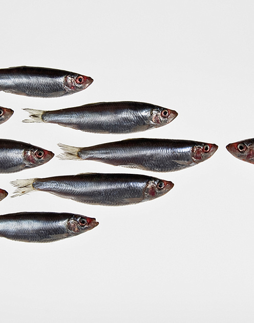 Как отличить безнадежного хама от человека, которому можно помочь