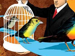 Секретная стратегия фондов прямых инвестиций