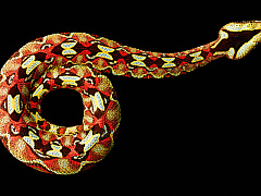 Почему врут предприниматели