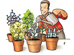 Как реанимировать науку