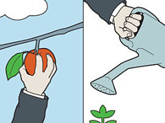 Откуда дровишки?