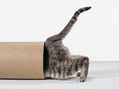 От жажды знаний к рабочим навыкам