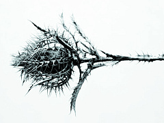 Руками не трогать