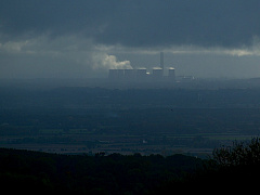 Экологичность в бизнесе: советы лидерам-визионерам