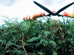 Парадокс Истерлина: Почему экономический рост не приносит людям счастье