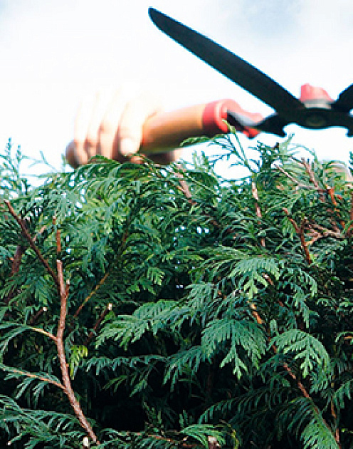 Парадокс Истерлина: Почему экономический рост не приносит людям счастье