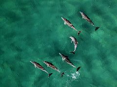 Шесть практик сильного лидера