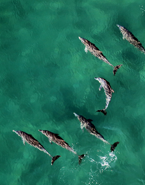 Шесть практик сильного лидера
