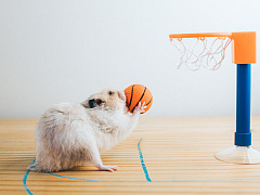 Заботьтесь о себе — и достигайте целей