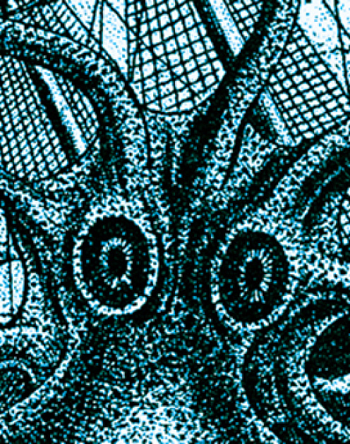 Подковерные игры — это просто другое название для влияния